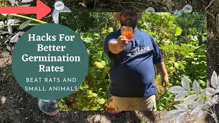 How to Stop Rats & Small Animals From Digging Up Your Seeds