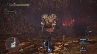 Monster Hunter World Double image?