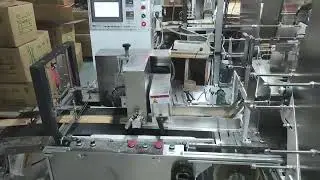 NZZQDSJ-300S automatic bamboo skewer packing machine