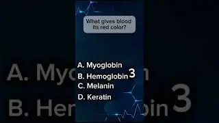 Day 7/100 of posting medical questions! #medical#medicine#mindset#popular#viral#foryoupage#question