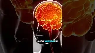 10 Best Brain-Boosting Ingredients for People Over 50 | Stay Sharp part 1 #BrainHealth