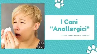 I Cani Anallergici esistono veramente?