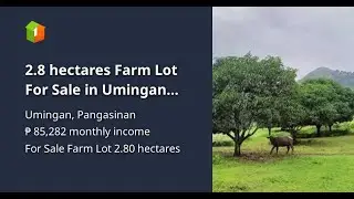 2.8 hectares Farm Lot For Sale in Umingan Pangasinan
