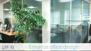 Office Window Blinds