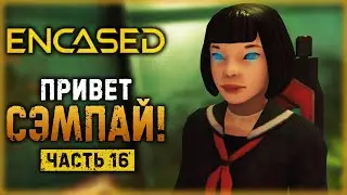 ENCASED #16 ☢️ - 