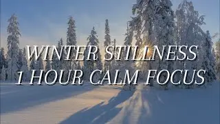 Winter Stillness | One Hour Calm Relaxing Music