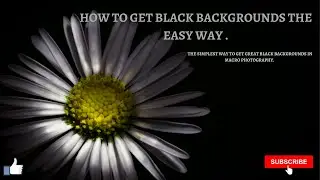 How to get black backgrounds the easy way for beginners.