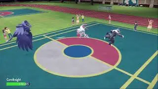 why you use Corviknight rocky helmet...