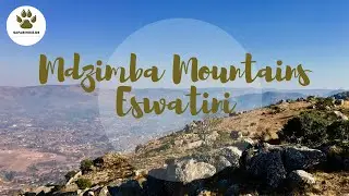 Mdzimba Mountains-  Sunday Hike - 04 August 2019 by The Natural History Society of Eswatini