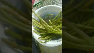 #cookingrecipes #cookingideas #recipe #cookingtips #cookingadvice foodie #oooking