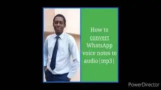 How to easily convert WhatsApp voice notes to audio|MP3|OPUS to Mp3 Coverter