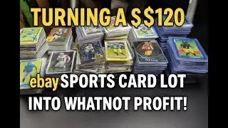 Turning a $120 eBay Sports Card Lot Into Whatnot Profit!