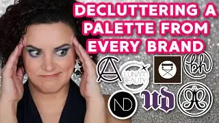 If I had to DECLUTTER one palette from EVERY BRAND | inspired by @battybean