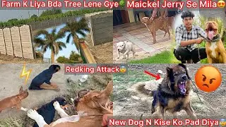 Mickel Or Jeery Se Milne Gye😍Chota Redking Ka Panga Hua Pari Se😨Farm K Liya Bda Bda Tree Lene Gye🌳 