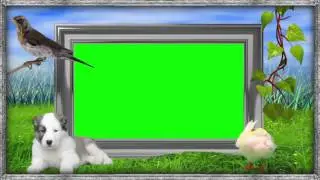 Green Screen Spring Frame