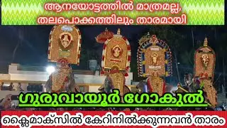 ഗുരുവായൂർ ഗോകുൽ... ഓട്ടത്തിൽ മാത്രമല്ല, തലപൊക്കത്തിലും guruvayur gokul headlifting #thalikkulamvaili