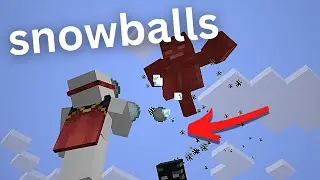 Is it Possible to Kill the Wither with Snowballs?