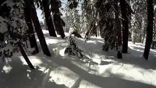 Sierra Powder