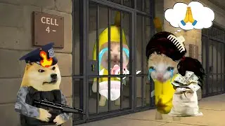 Banana cat crying not happy compilation 482 #babybananacat #happycat #catmemes #bananacat