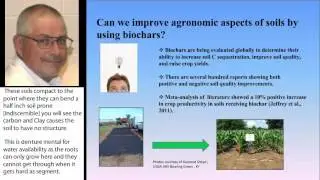 Using Biochars to Improve Soil C Sequestration and Fertility Characteristics