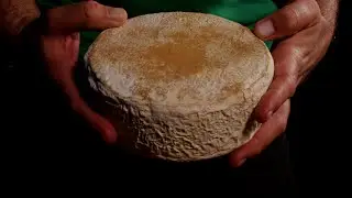 QSEEC EP 01 / TEMP 3 - BLOCO 02 / FAZ O BEM ORGÂNICO