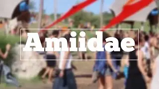 How to spell Amiidae