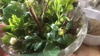 Wohnungsdeko Fr&uuml;hling - Fr&uuml;hlingsdeko