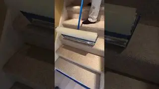 Trimaco Carpet Film Applicator #painting #renovation #tools #construction