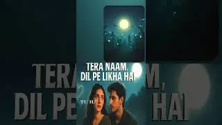 Tera Naam Dil Pe Likha Hai