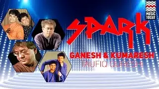 Spark | Audio Jukebox | Instrumental | World Music | Taufiq Qureshi