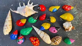 HUNTING SNAILS! Berburu Hewan Bekicot Dan Menemukan Banyak Cangkang Bekicot, Bekicot Siput Keong