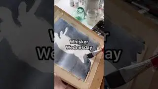 Whisker Wednesday