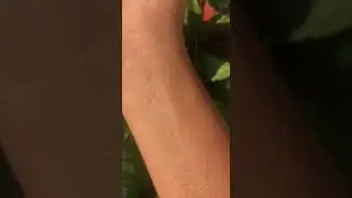 Bruma Fixadora