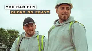You can buy ducks on eBay?!