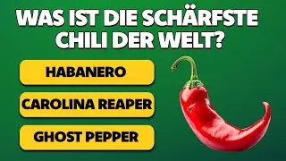 Teste dein Allgemeinwissen mit 50 spannenden Fragen! 🧠