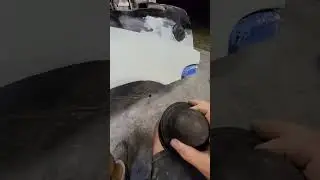 How to use a guide coat when sanding your car.
