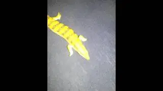Sandfisch