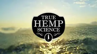 THS Ocean & CBD