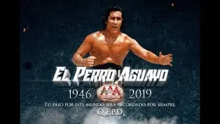 PERRO AGUAYO | Homenaje | Lucha Libre AAA Worldwide