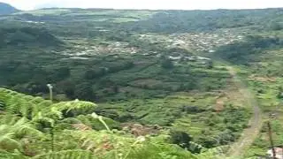 Mountain fog on Pico Baca, Moka, Bioko Island, Equatorial Guinea