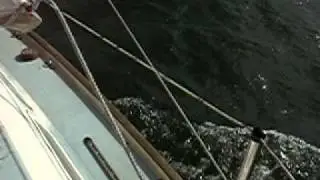 Ranger 23 Spinnaker antics