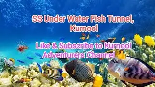 Under Water Fish Tunnel , Kurnool #aquarium #kurnool #andhrapradesh #underwaterworld #tourism