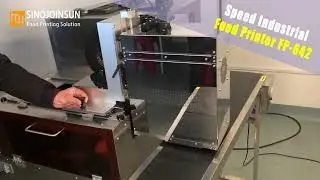 FP-542 High-speed industrial food printer print edible image on chips.