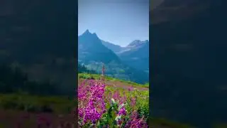 Glacier National Park#nationalpark in Montana#Montana#United States#touristplacemontana#roadtripusa