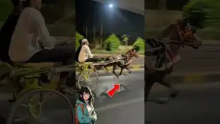 Sepatu Ajaib ini Biar Kuda Nggak Jatuh ‼️🤯💥