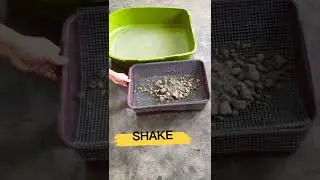 How to Clean Cat Litter box #short