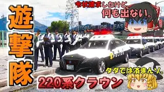 【遊撃隊】秋の大職質祭り！220系クラウンで遊撃隊として大量検挙する！！