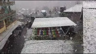 First snowfall of Old Manali 2022