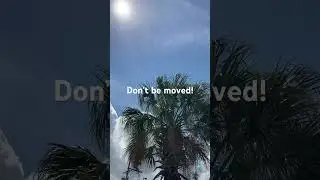 Only let positivity in! Positivity wins! #like #share #subscribe
