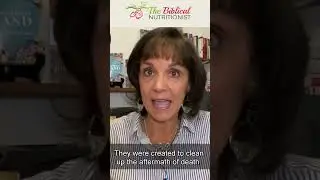 Are unclean foods no longer unclean in the New Testament?